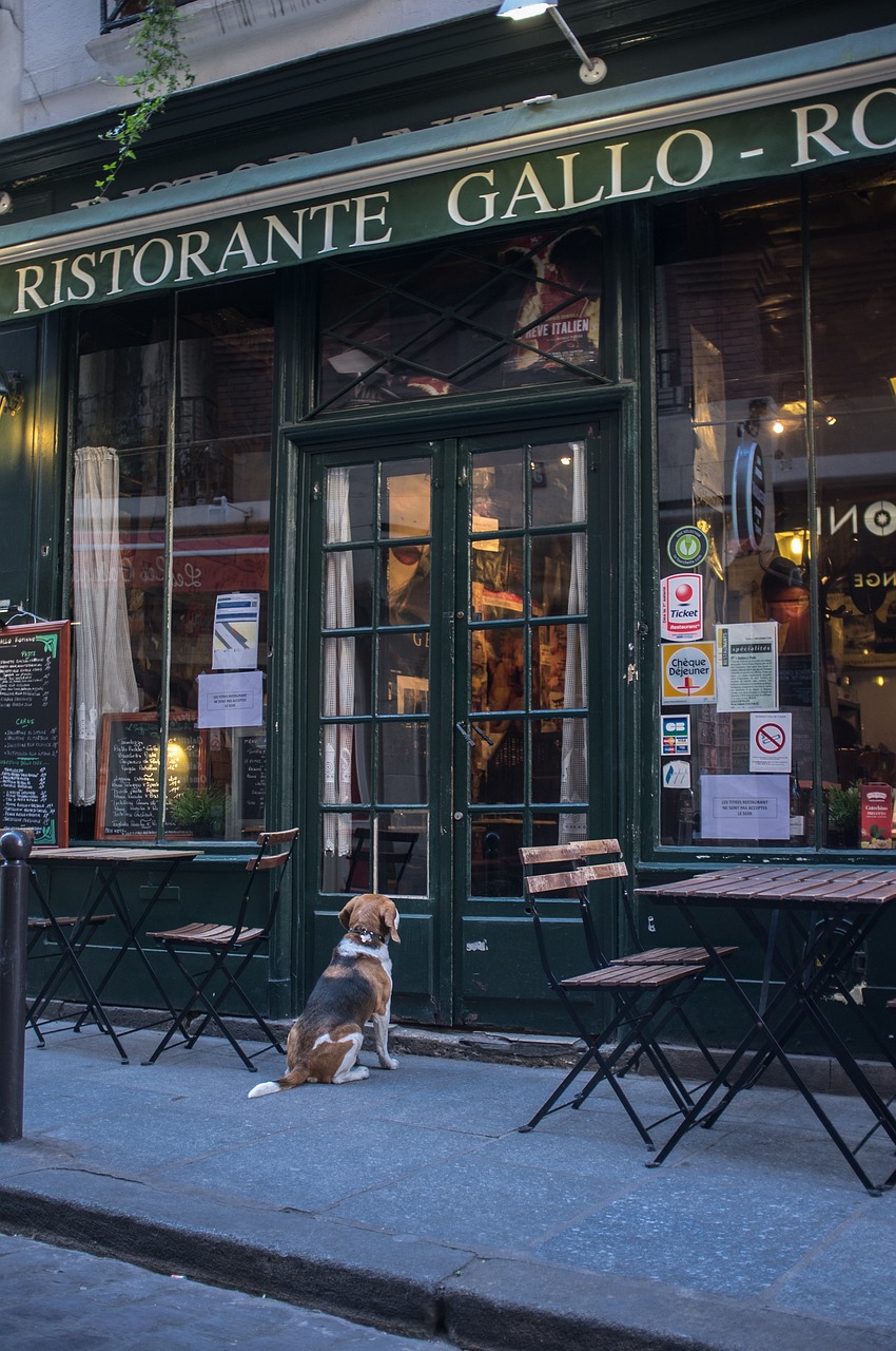hond voor restaurant